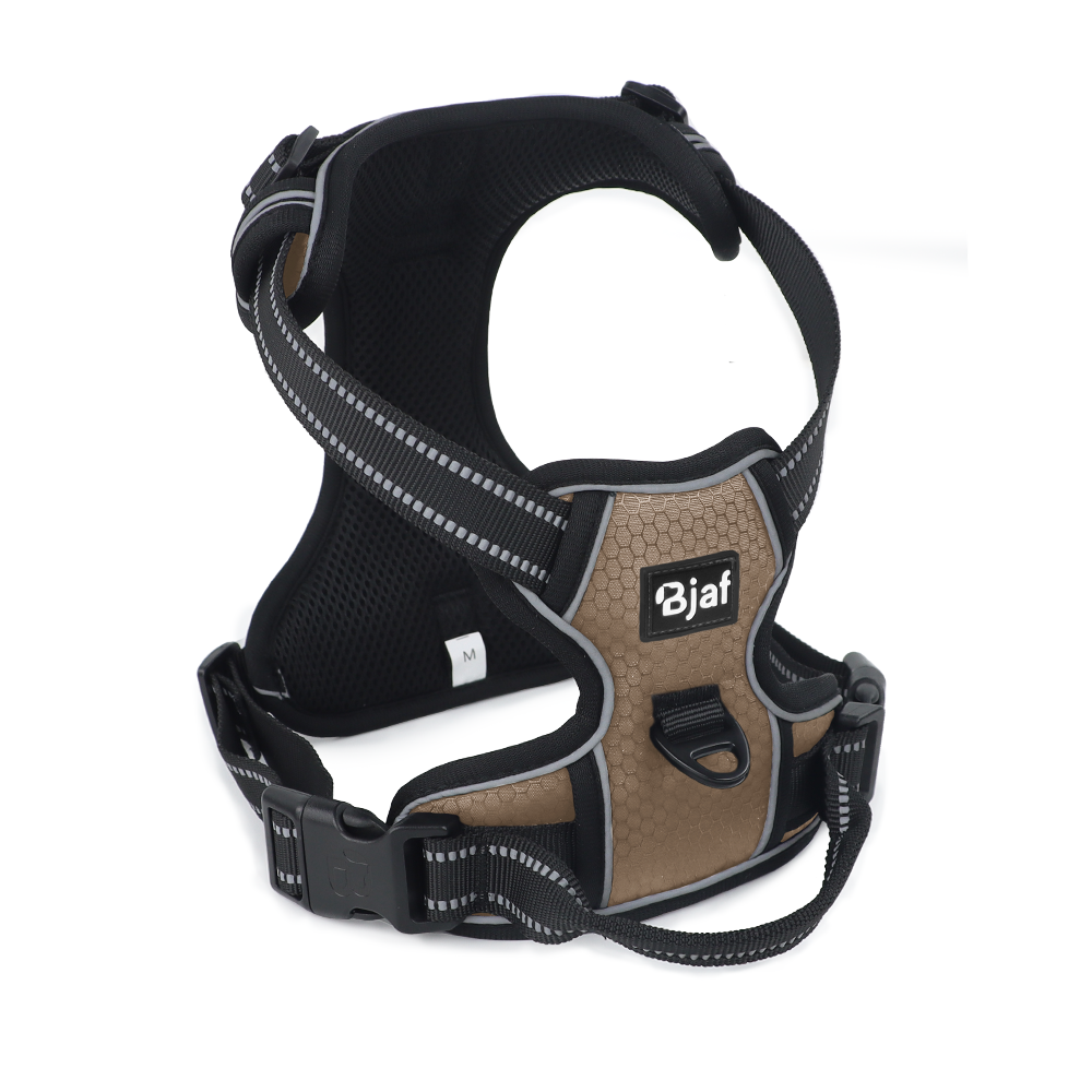 Bjaf - Easy walk pro hundesele