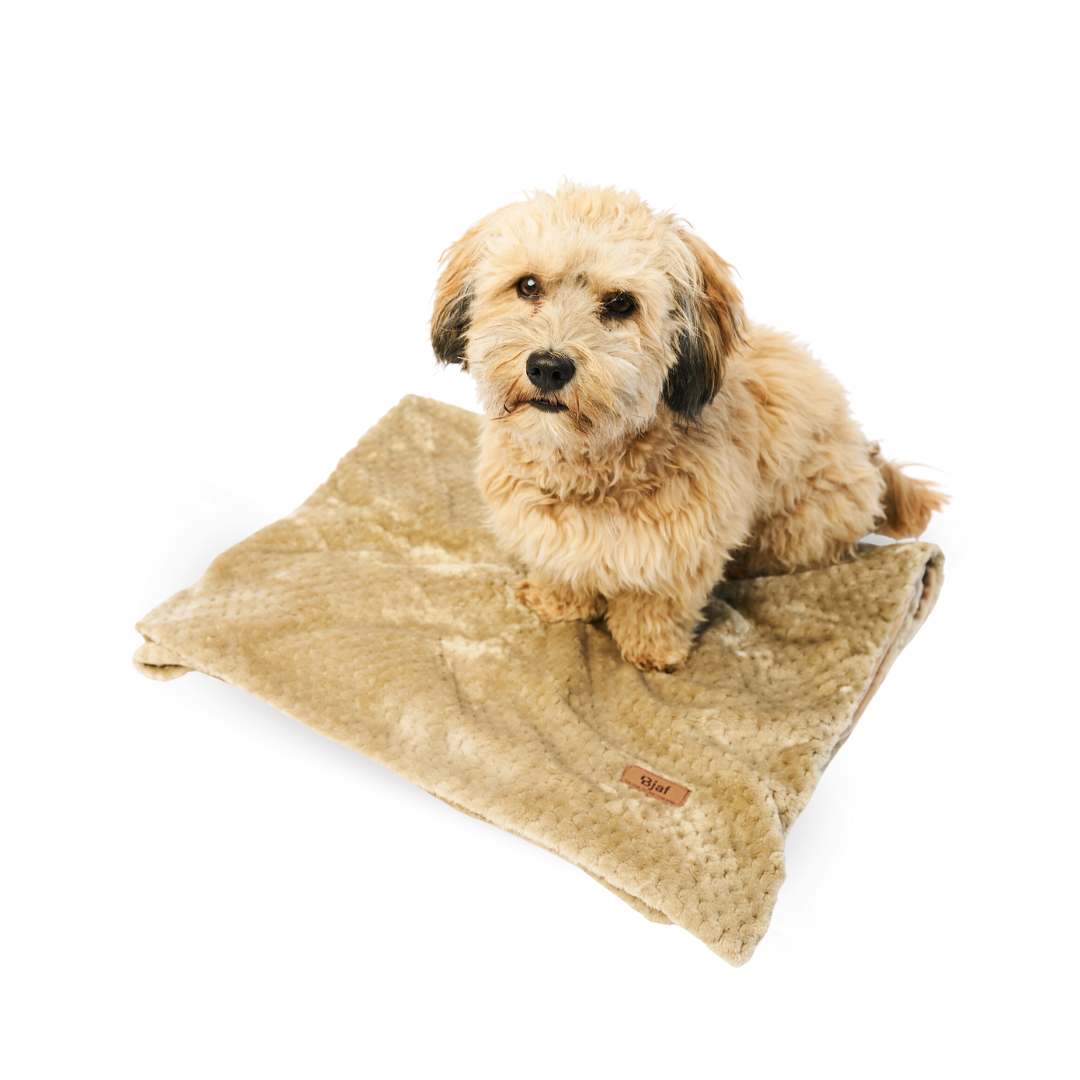 Bjaf - Hundetæppe