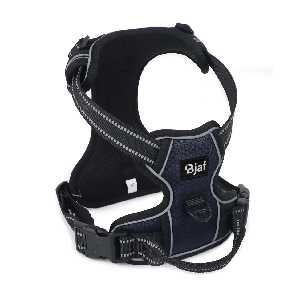 Bjaf - Easy walk pro hundesele