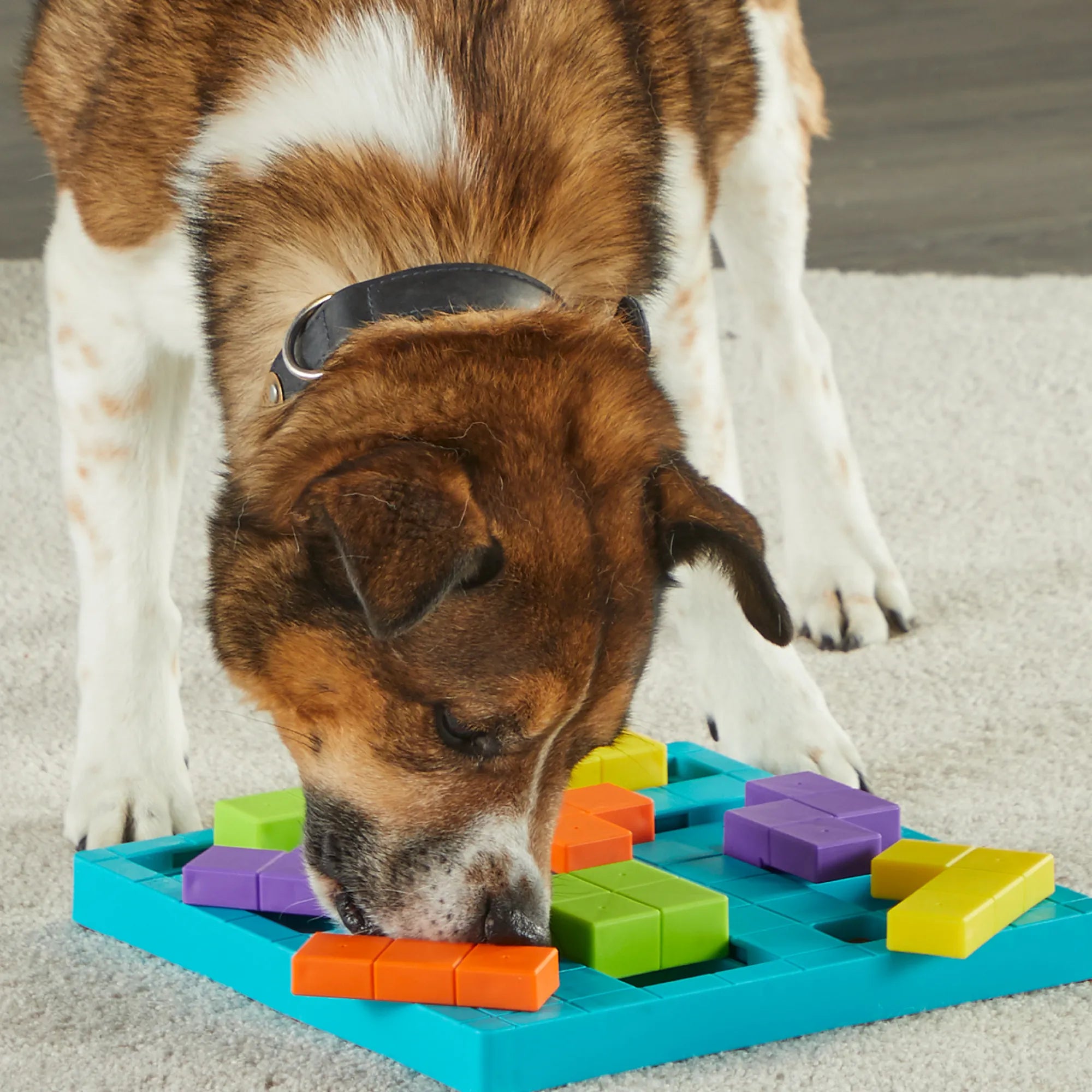 Brain Teaser Treat Puzzle - Juguete Rompecabezas para Perros que Estimula la Mente de Brightkins