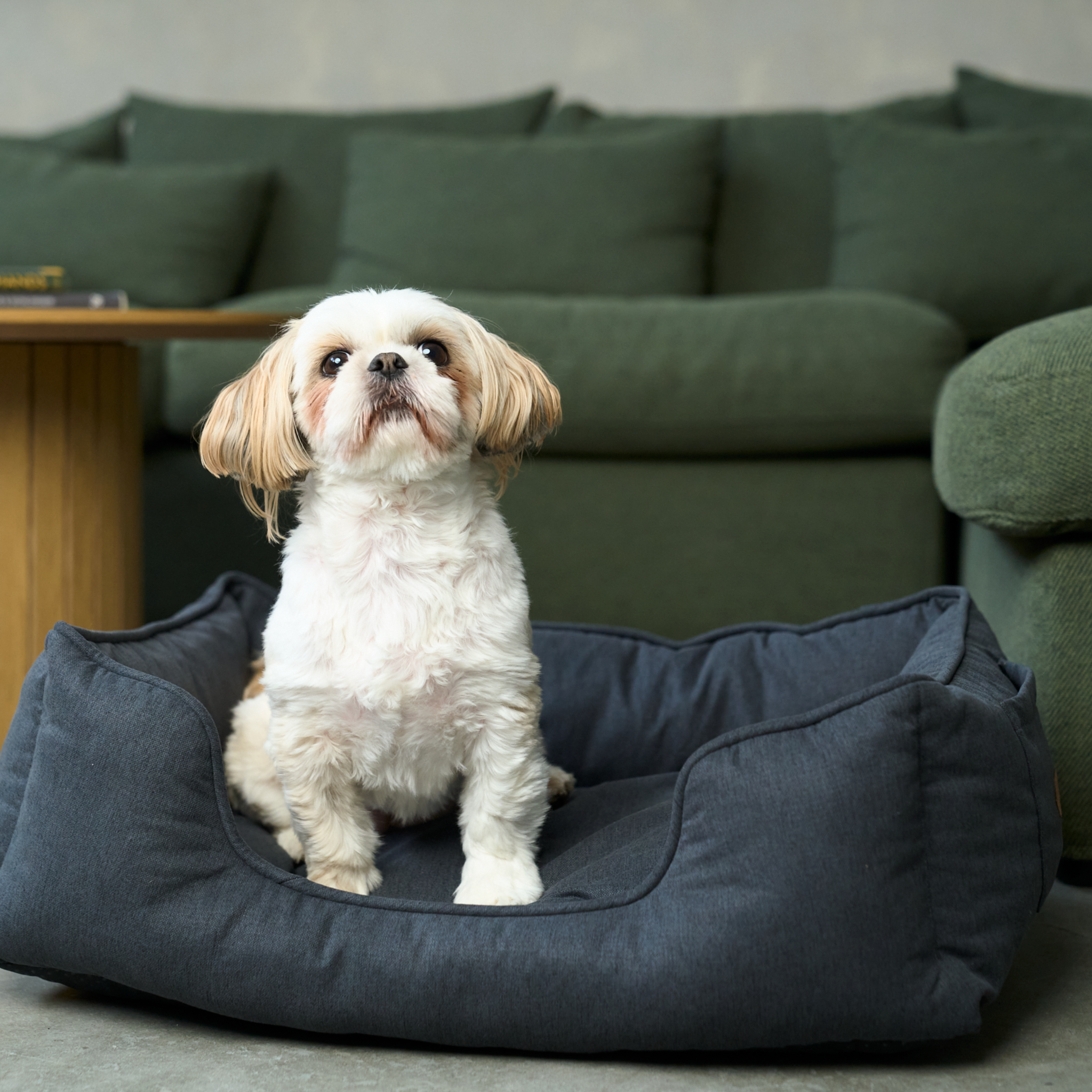 Bjaf - Alba antibakteriel hundeseng mørkegrå