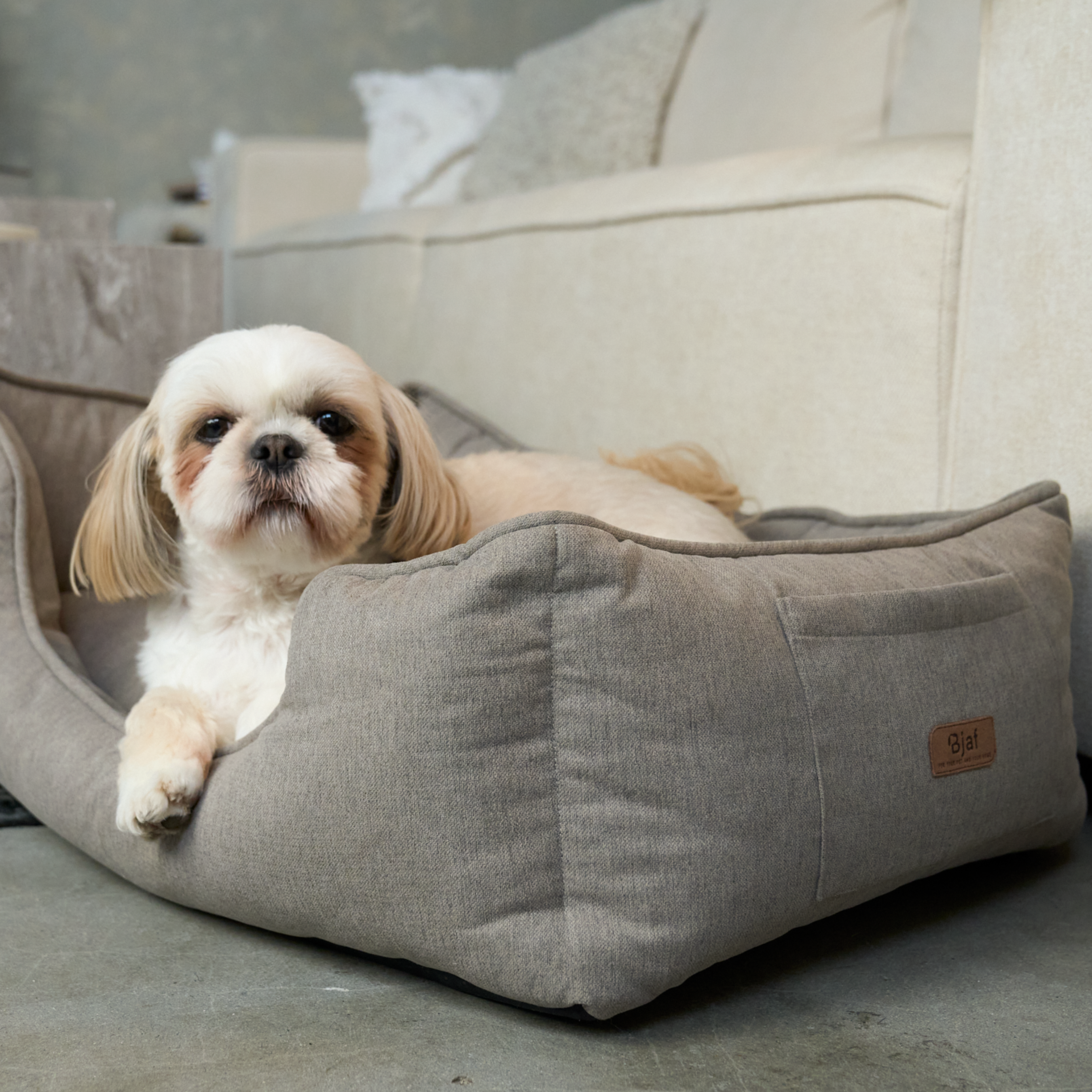 Bjaf - Alba antibakteriel hundeseng beige