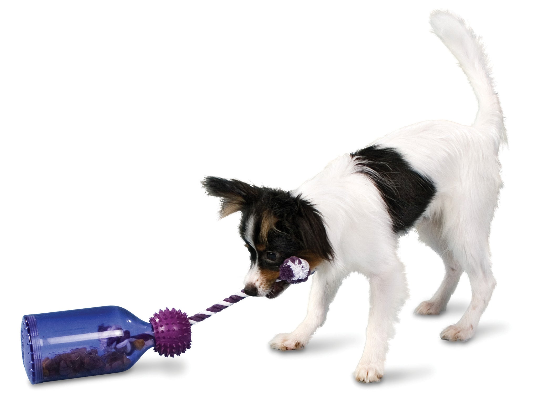Busy Buddy® Tug-A-Jug™ - Juguete Interactivo para Perros