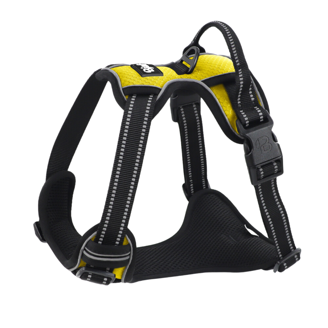 Bjaf - Easy walk pro hundesele