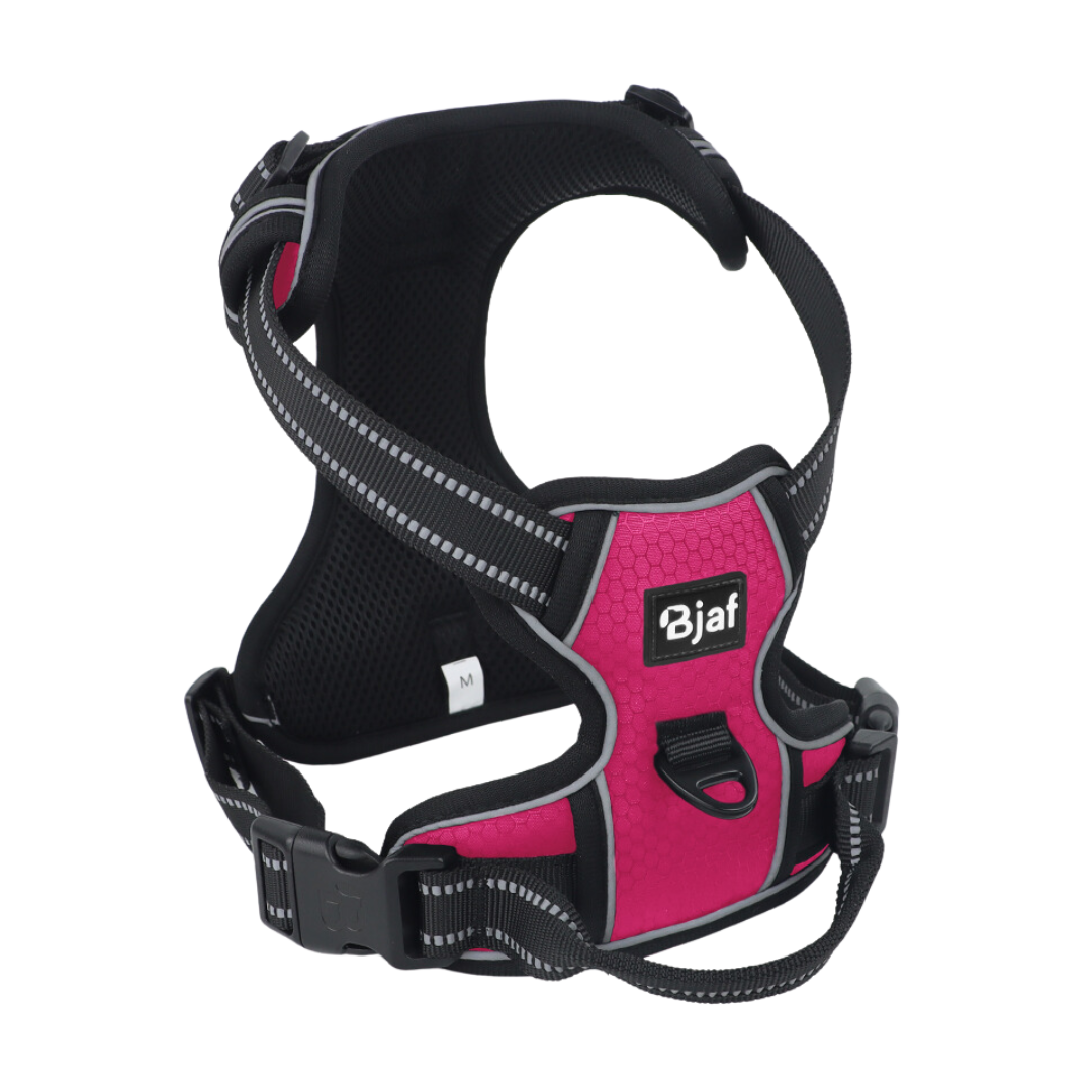 Bjaf - Easy walk pro hundesele