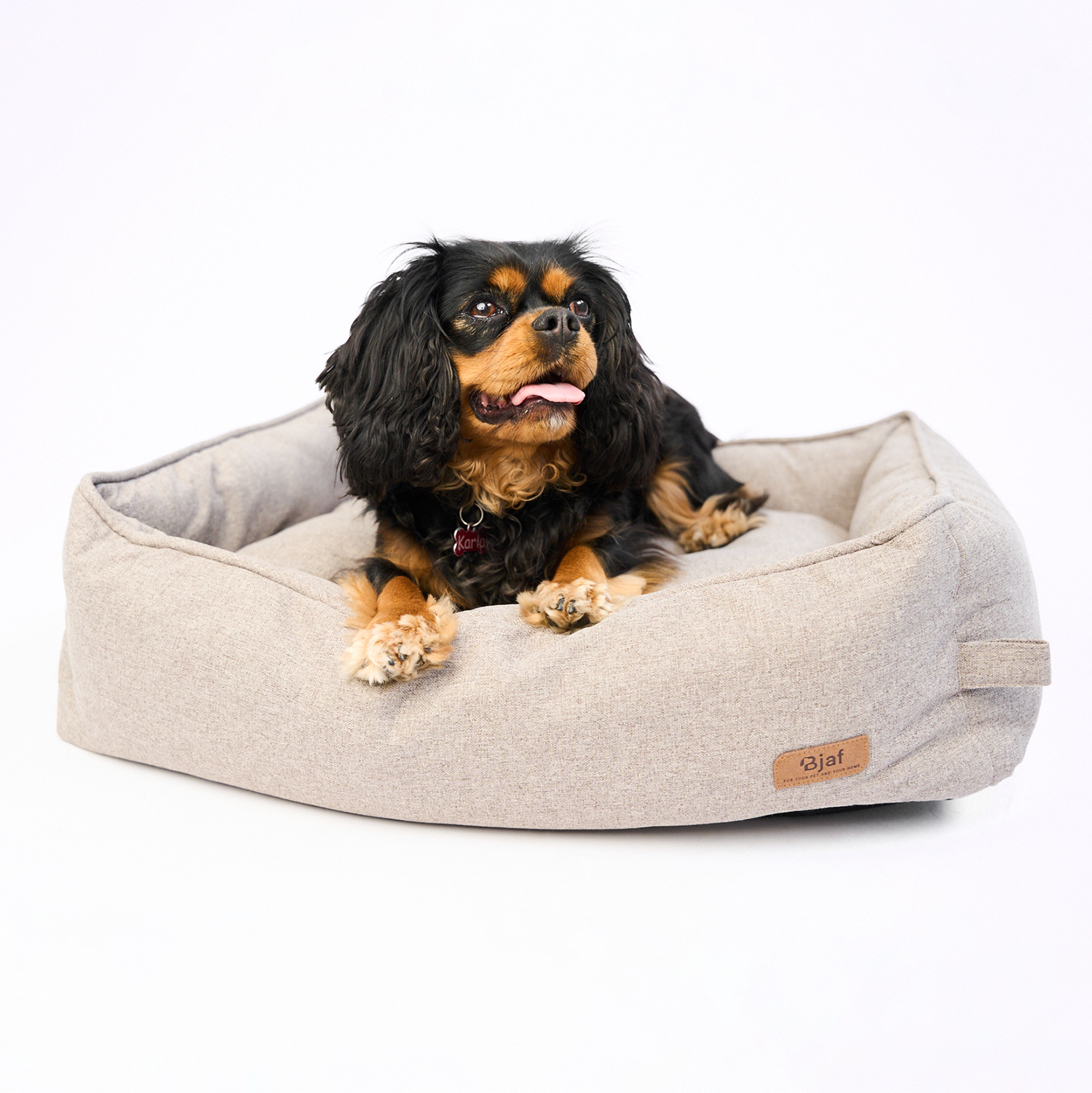 Bjaf - Mille hundeseng, sand