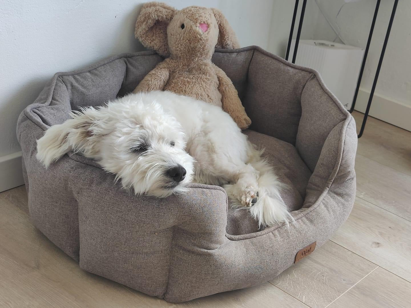 Bjaf - Molly Oval Hundeseng, sand