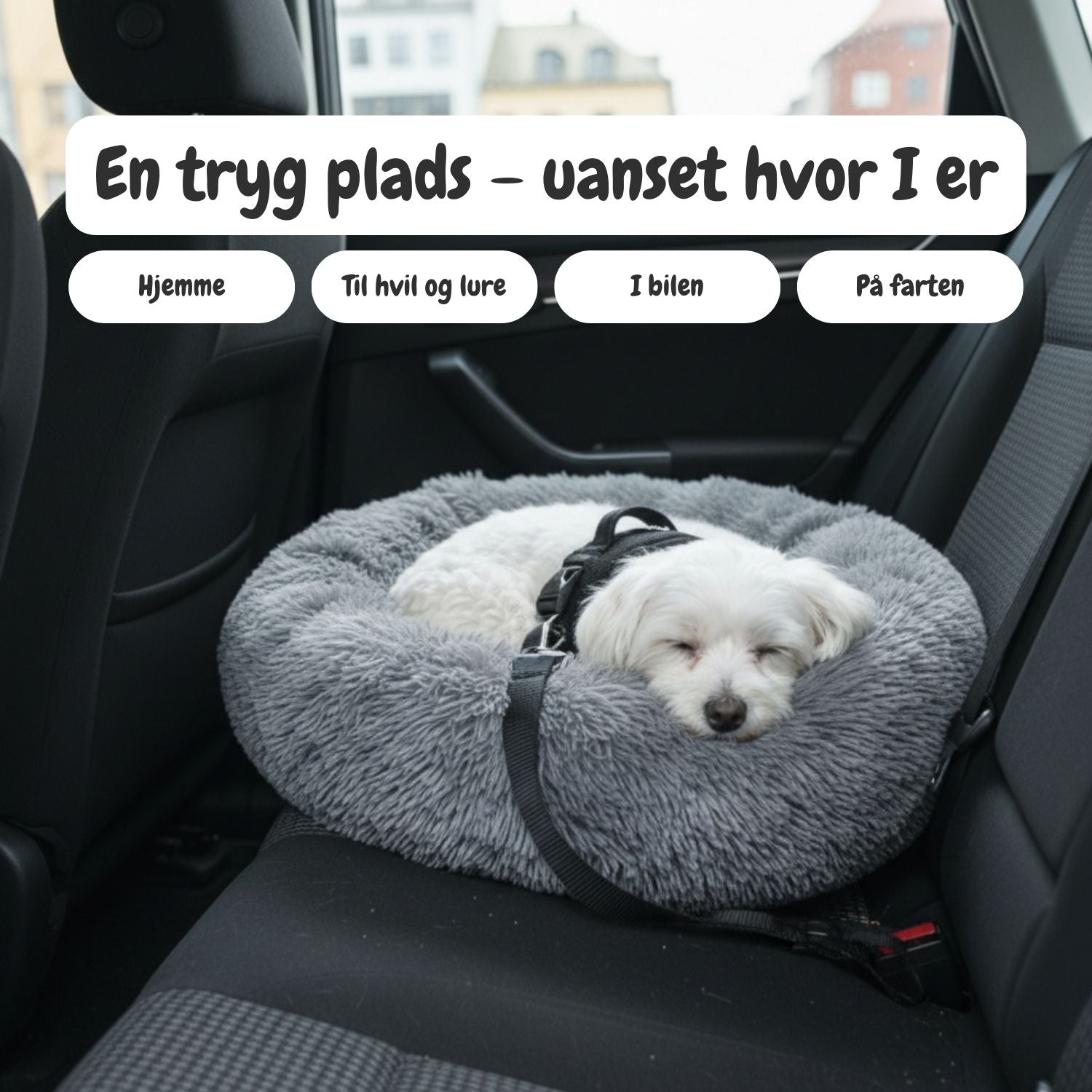 Beroligende donut hundeseng