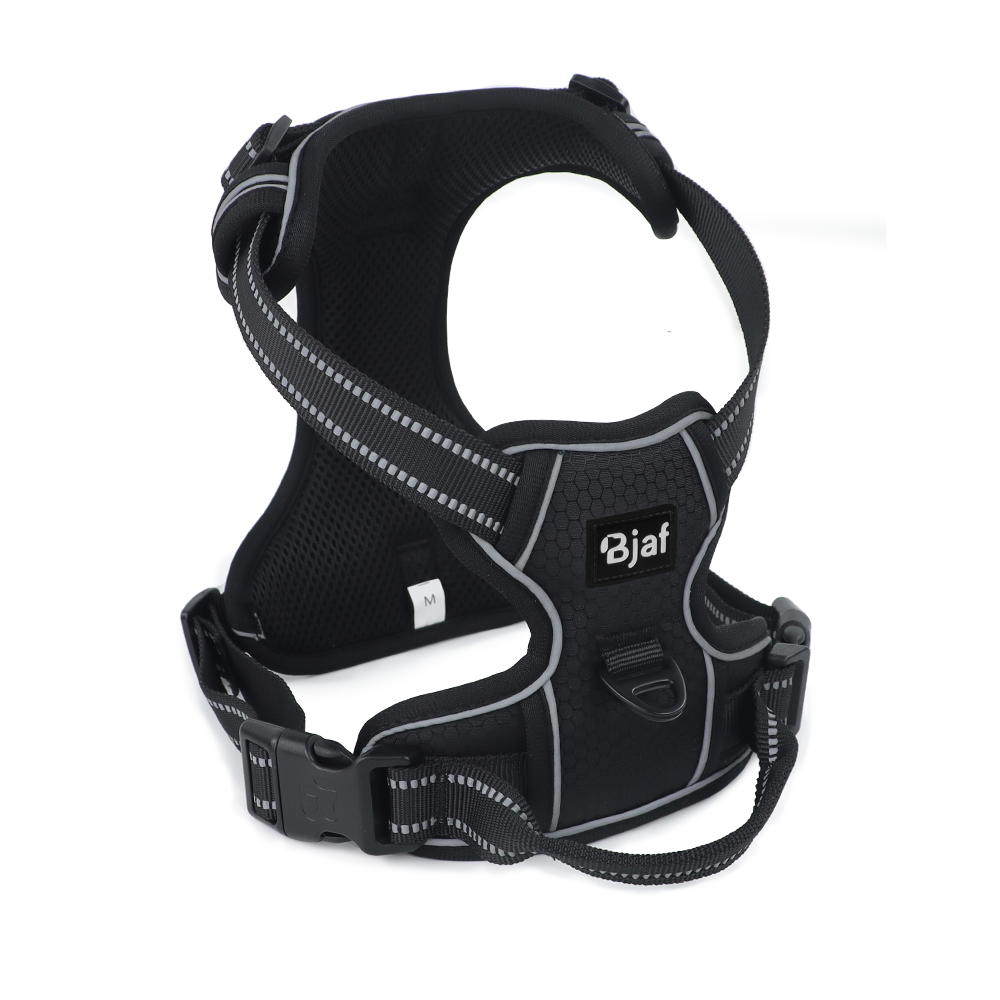 Bjaf - Easy walk pro hundesele