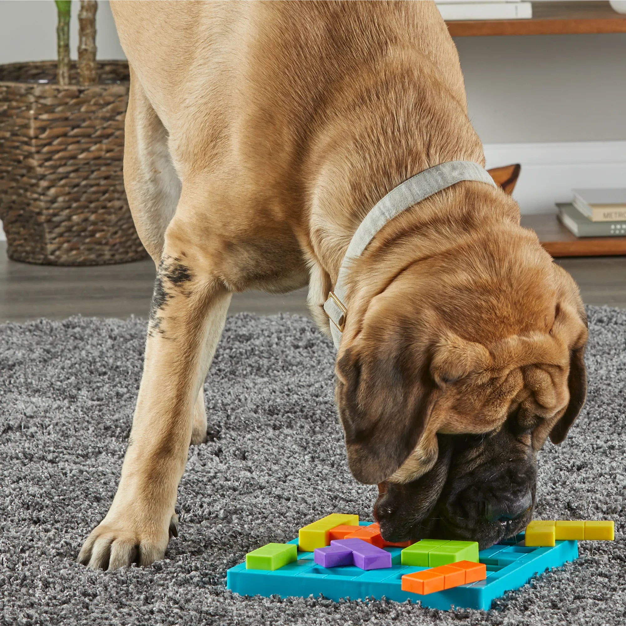 Brain Teaser Treat Puzzle - Juguete Rompecabezas para Perros que Estimula la Mente de Brightkins
